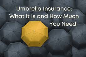 Check spelling or type a new query. Umbrella Insurance What It Is And How Much You Need