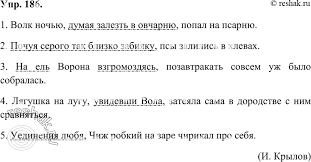 волк ночью думая залезть в овчарню попал на псарню Resheno Upr 186 Gdz Ladyzhenskaya Baranov 7 Klass Po Russkomu Yazyku