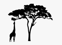 Maybe you would like to learn more about one of these? Silhouette Giraffe Safari Trees Trees Freetoedit African Tree Silhouette Png Transparent Png Transparent Png Image Pngitem