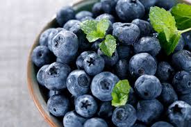 He got excited when she came into the room. Can Dogs Eat Blueberries Healthy Paws Pet Insurance
