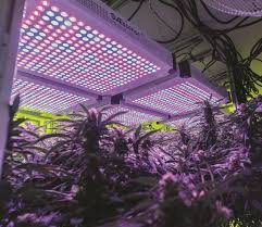 We did not find results for: Indoor Lighting Marijuana Venture