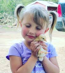 Can I store layer feed in the deep freezer?