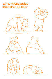 Giant Panda Bear Panda Art Panda Drawing Giant Panda Bear