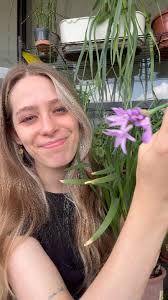 🧄, A última turma da Escola das plantas está chegando 🌱 Link na bio,  #dedoverde #hortas #hortaorganica hortaemvasos hortaemvaso horta  hortaemcasa hortaurbana hortacaseira hortaorgânica ...