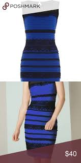 Roman Originals Blue Black Dress Black And Blue Dress Black Lace Bodycon Dress White Gold Dress