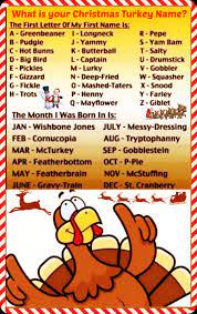 Last year, for example, the turkeys were named may and flower. Thanksgiving Turkey Names Why Is Turkey Called A Turkey Facts About The Origin The President Of The United States Is Presented With A Live Domestic Turkey By The