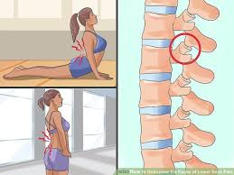 Pin On Back Pain Roller Files