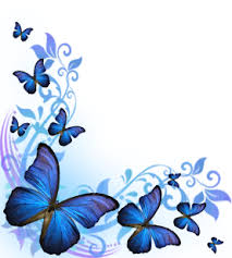 Background Border Design Black And White Butterfly Butterflies Background Image By Katherinetremere On Deviantart Butterfly Background Butterfly Art Butterfly Pictures