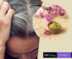I'm using a two part. Here S How You Can Naturally Dye Your Hair Black Using Henna Indigo