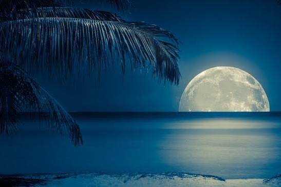 Beautiful Full Moon Reflected on the Calm Water of a Tropical Beach (Toned in  Blue) Prints - Kamira | AllPosters.com