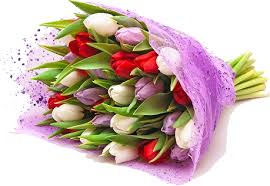 Pin By Vinay G On Pics Flower Bokeh Tulip Bouquet Tulips Flowers
