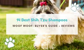 Product reviews for our furry friends. 14 Best Shih Tzu Shampoos Buyer S Guide Reviews