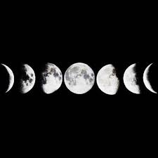 Pin By Cait Maccrimman On I See The Moon Moon Phases Tattoo Moon Phases Drawing Moon Tattoo