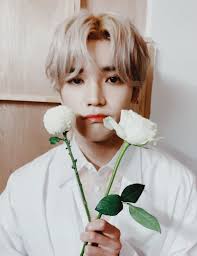 Superm (korea band), nct (band), exo (band), shinee, vixx, seventeen. Cute Taeyong Nct Nct Taeyong