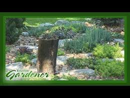 Urban Oasis Using Natural Elements Volunteer Gardener Youtube Urban Oasis Backyard Landscaping Garden Design