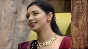 Bigg Boss 19: Tanya Mittal's crorepati background busted? Neighbours  maintain silence