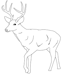 When it gets too hot to play outside, these summer printables of beaches, fish, flowers, and more will keep kids entertained. Animal Templates Free Premium Templates Deer Coloring Pages Deer Drawing Deer Skull Drawing