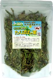 たんぽぽの葉 乾燥 20g 小動物の健康野草専門店 らぱんな