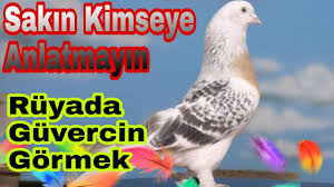 ruyada guvercin gormek ne anlama gelir ruya tabirleri youtube
