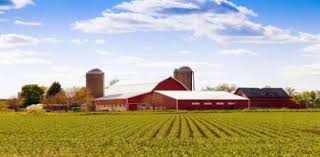 In a time when every side seems convinced it has the answers, the atlantic and hbo are p. Types Of Farming Trivia Facts Quiz Proprofs Quiz
