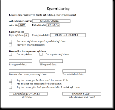Veterinærattesten er grunnlag for om forsikring skal overtas. A2a Helse Og Kosthold