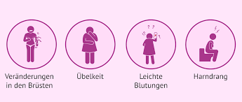 Kann man die einnistung fördern? Welche Symptome Tauchen Nach Einem Embryotransfer Auf