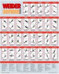 weider total bodyworks exercise chart google search gym