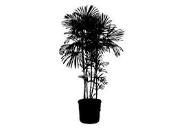 Potted Plants Silhouette Vector Free Download Silhouette Vector Silhouette Illustration Silhouette Free The clip art image is transparent background and png format which can be easily used for any free creative project. potted plants silhouette vector free