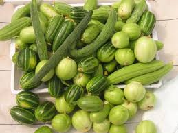 Image result for Cucumis melo