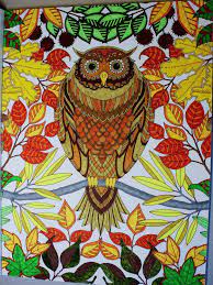 Secret Garden Artist S Edition 20 Drawings To Color And Frame Johanna Basford St Secret Garden Coloring Book Coloring Book Art Johanna Basford Coloring Book