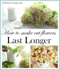 The bleach acts as a germicide. How To Make Cut Flowers Last Longer Anne P Makeup And More