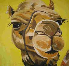 Pin On Camels