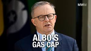 Coalition sidelined, fossil outrage as Labor strikes deal