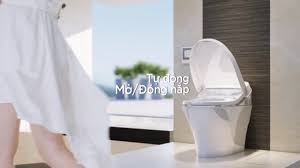 Kết quả hình ảnh cho bồn cầu thông minh viglacera v91