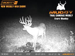 Maybe you would like to learn more about one of these? Mock Scrapes How To Take Full Advantage Of A Buck S Weakness Muddy Outdoors