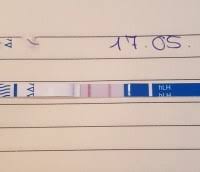 Es 6 Und Ovu Mit Mu Super Fett Positiv
