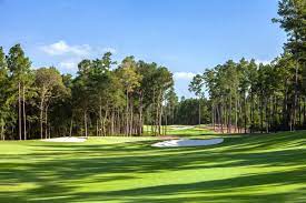 Bluejack National Tgr Design