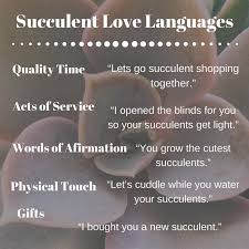 My Love Language Is All Of Them What S Yours Smallbusiness Smallbusinesses Smallbusinessutah In 2020 Light Words Love Languages Physical Touch