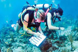 Marine Biologists Facts