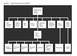 organizational choice product vs function