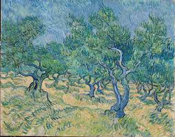 Van Gogh, Olive Trees | French Paintings and Pastels, 1600–1945