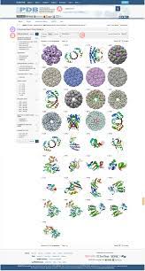 بنك بيانات البروتينات (ar) protein data bank. Rcsb Protein Data Bank Tools For 3d Structure Guided Cancer Research Human Papillomavirus Hpv Case Study Oncogene