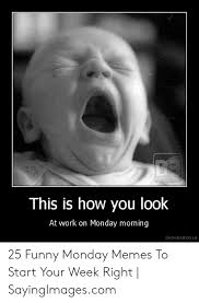 Thank you to tom bilyeu for providing the amazing first speech! 25 Best Memes About Monday Motivation Meme Monday Motivation Memes