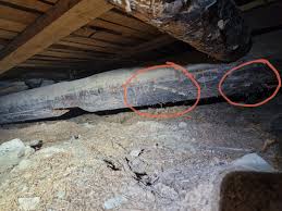 Image result for site:byggahus.se rötskada