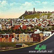 بغية الطلب في تاريخ حلب لابن العديم