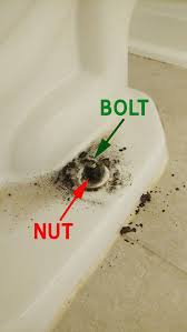 Bones) that may have dropped into the sink drain. Can T Remove Anchor Bolt On Toilet Bowl