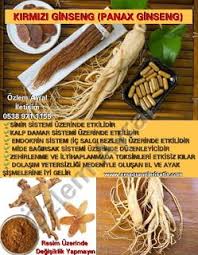 Ersag Hakkinda Kirmizi Ginseng Panax Ginseng Ersag Saglikli Endokrin Sistem Fle