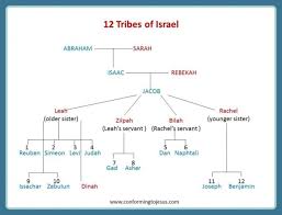 family tree chart of jacob et al the bible project