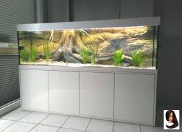Aquarium Komplett Sonderangebote Sie Mochten Eine Aquarienkombination Preiswert Kaufen Sie Mochten Eine Aquariumkombination Preiswert Kaufen Akvaryumlar Akvaryum Fikirler