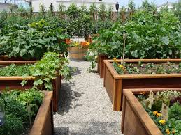 Hochbeet Selber Bauen Und Bepflanzen Vorteile Materialien Und Tipps Terrasse Stein Gemusegarten Luxus Ideen Garten Hochbeet Garten Hochbeet
